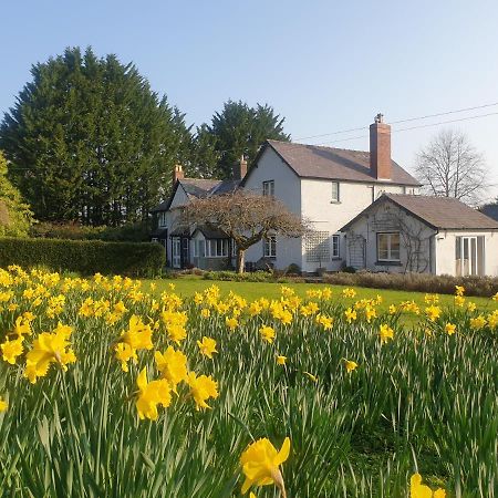 Lower House B&B Adforton 레인트와딘 외부 사진