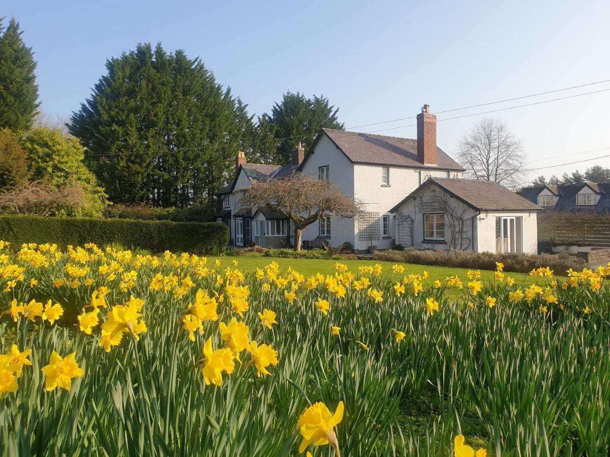 Lower House B&B Adforton 레인트와딘 외부 사진