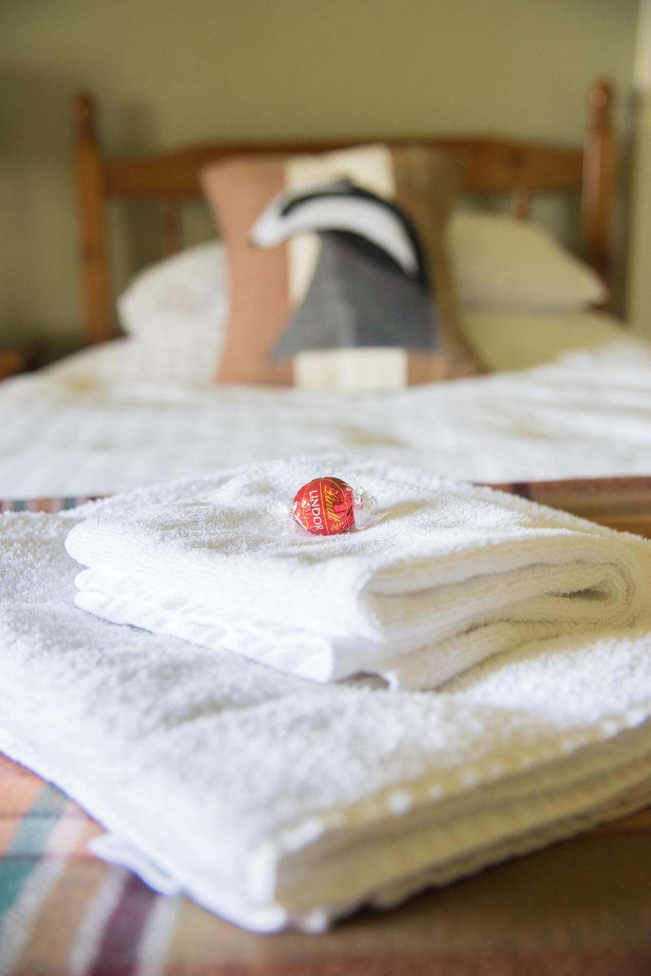 Lower House B&B Adforton 레인트와딘 외부 사진